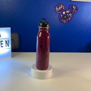 🎉HOST PICK 🎉 GAIAM Stainless Steel Water Bottle with Twist Lid; NWOT